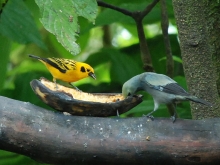 Imagen Parque Ecológico Mamey 